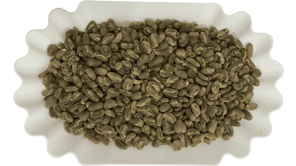 Arabica Long Berry Green Coffee Beans
