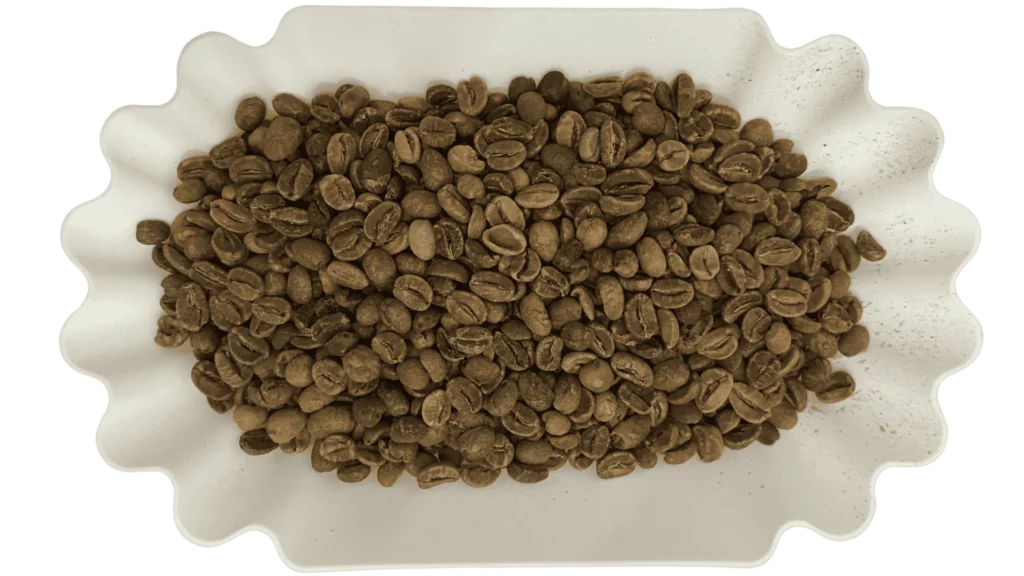 Arabica Wine Green Coffee Beans
