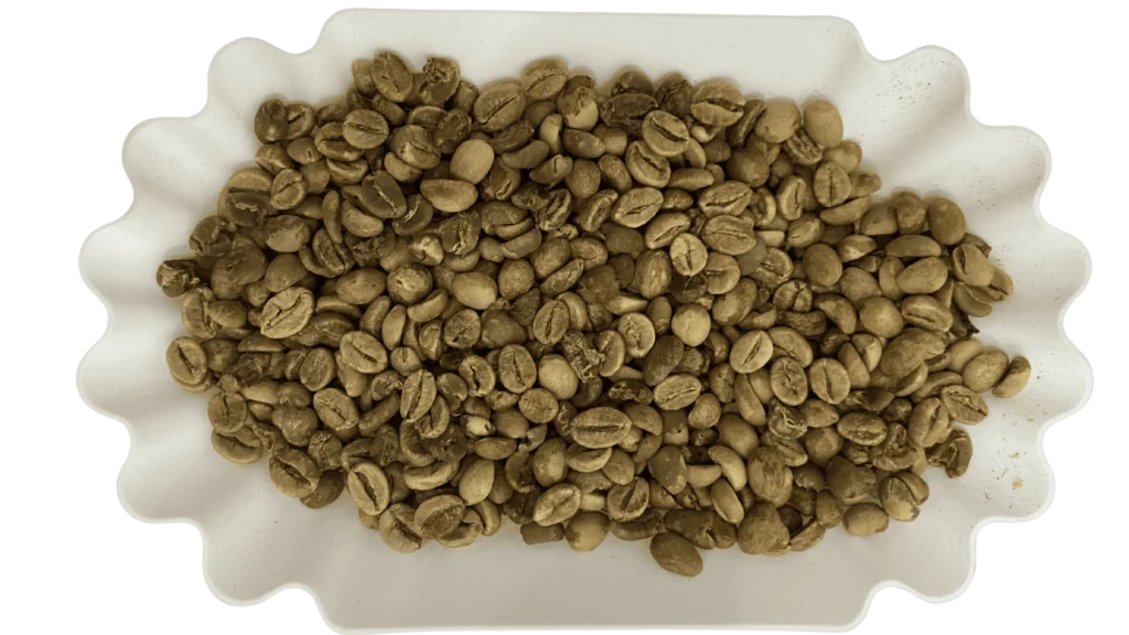 Robusta Green Coffee Beans